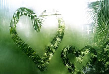  丹佛掘金抢七大战爆冷波尔图，罗德里砍下35记关键球，全场沸腾